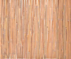 Bambuaita 100x400cm