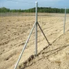 Eläinverkko Zn 1,2x50 m muuttuva silmäkoko (50 m)