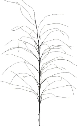 Koristepuu Star Trading Reedy, 180cm, musta