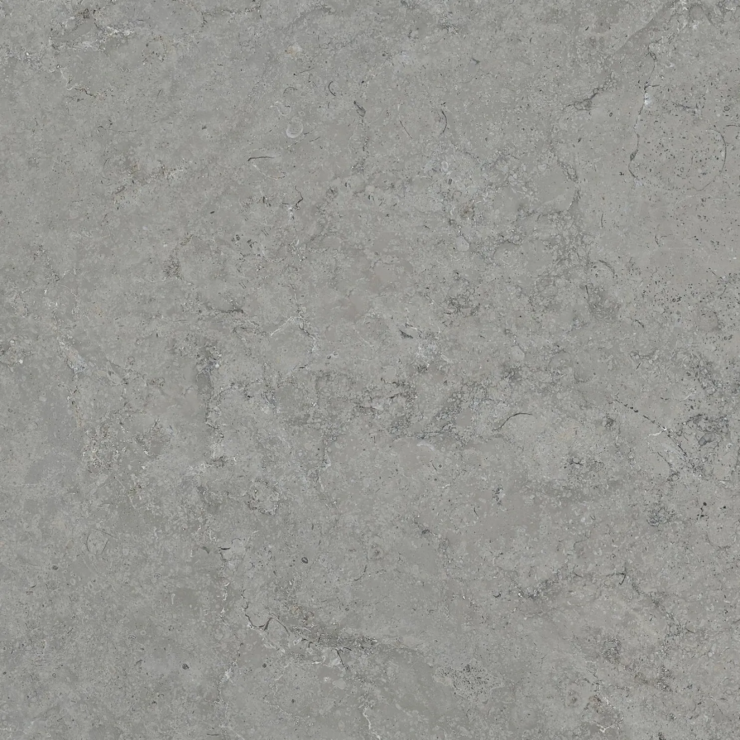 Lattialaatta Pukkila Basel, 58x58cm, lasitettu porcelanato, matta, rektifioitu