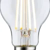 LED-filamenttilamppu Paulmann Eco-Line Pear, E27, 525lm, 2.5W, 3000K, kirkas
