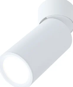 LED-kattovalaisin Paulmann Turnal Coin, 2700K, 470lm, 6W, himmennettävä, eri värejä