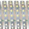 LED-Nauhasetti muuntaja + valonsäädin Paulmann Max Basic Set 10m