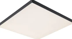 LED-paneeli Paulmann Velora, 45x45cm, 19W, 3000-6500K, RGBW, himmennettävä, eri värejä