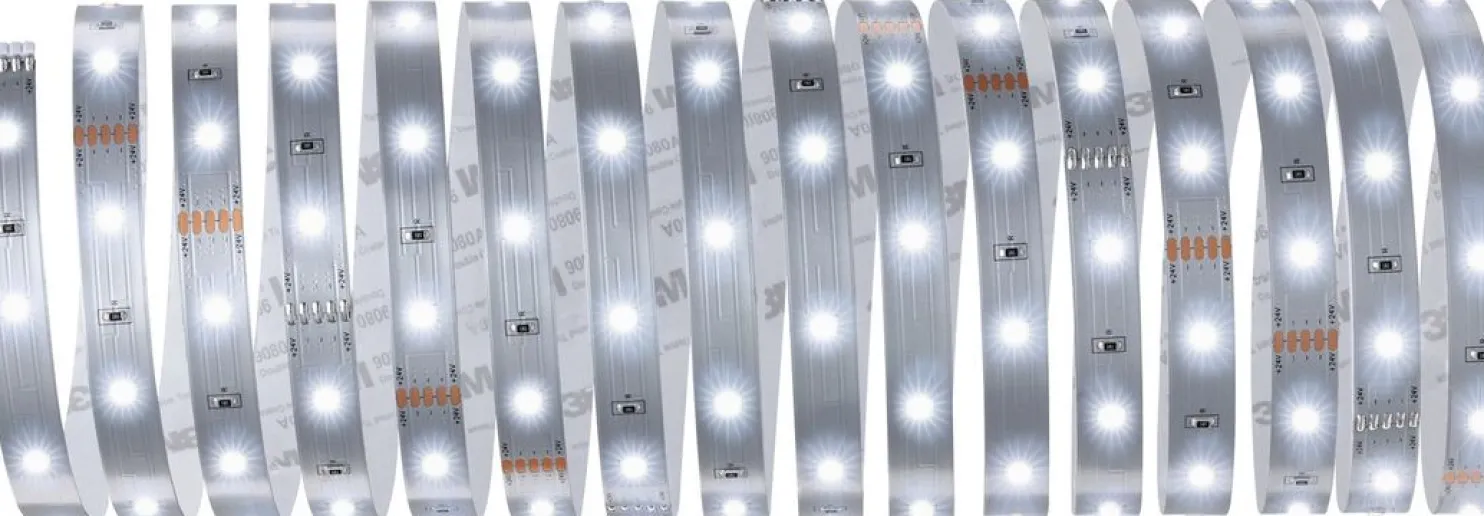 LED-valonauha Paulmann MaxLED 250, 300lm/m, 6500K, eri kokoja