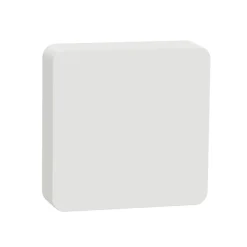 Lämpötila- ja kosteusmittari Schneider Electric Wiser Zigbee
