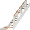 Portaat Dolle Paris, 3180mm, oikea, porraskaiteella, avonainen malli, lakattu tammi