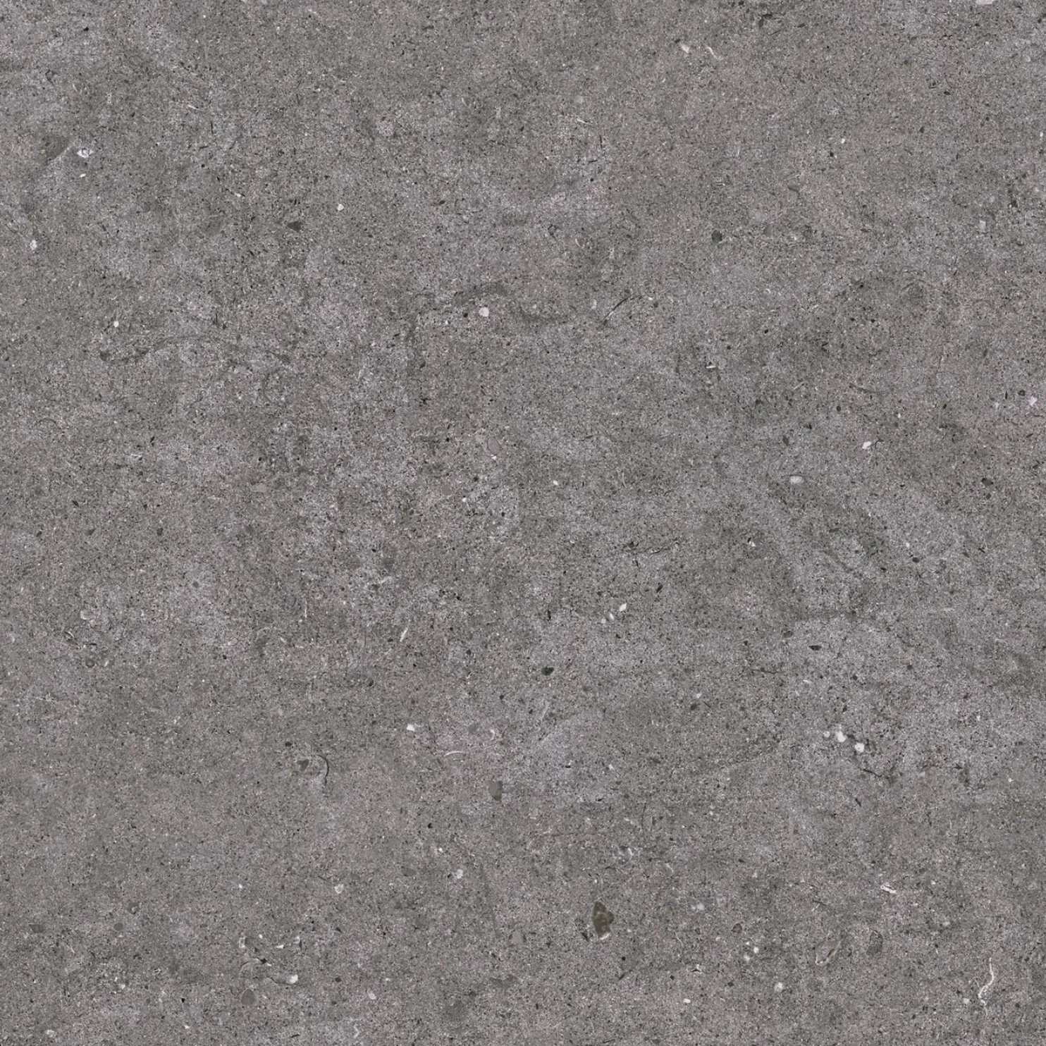 Seinälaatta Laattapiste LPC Kairo, matta, tasapintainen, 59.7x59.7cm