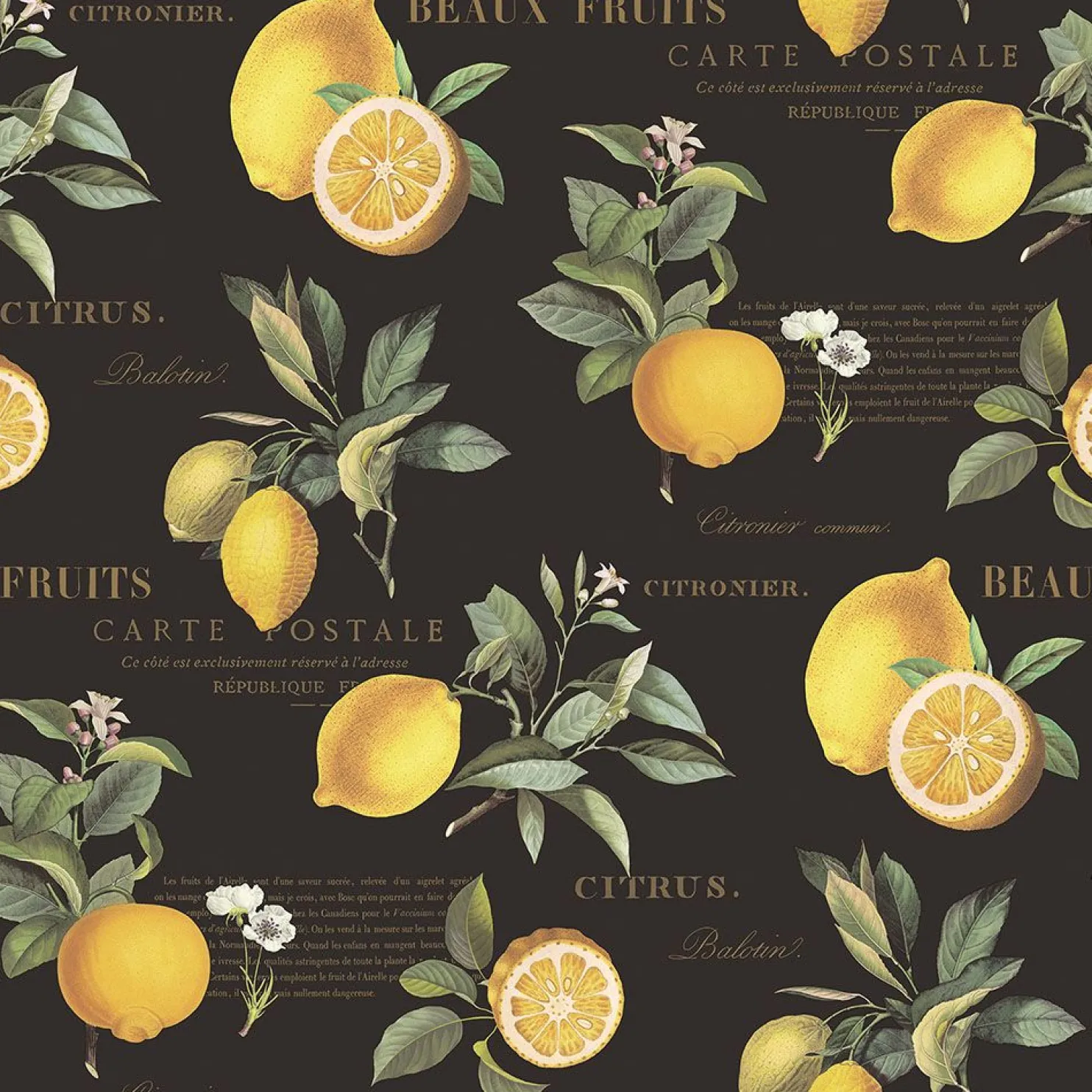 Tapetti Galerie Just Kitchens Citron Botanical, vintage