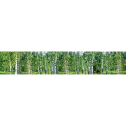 Välitilatarra Dimex Birch Grow 180-350x60cm