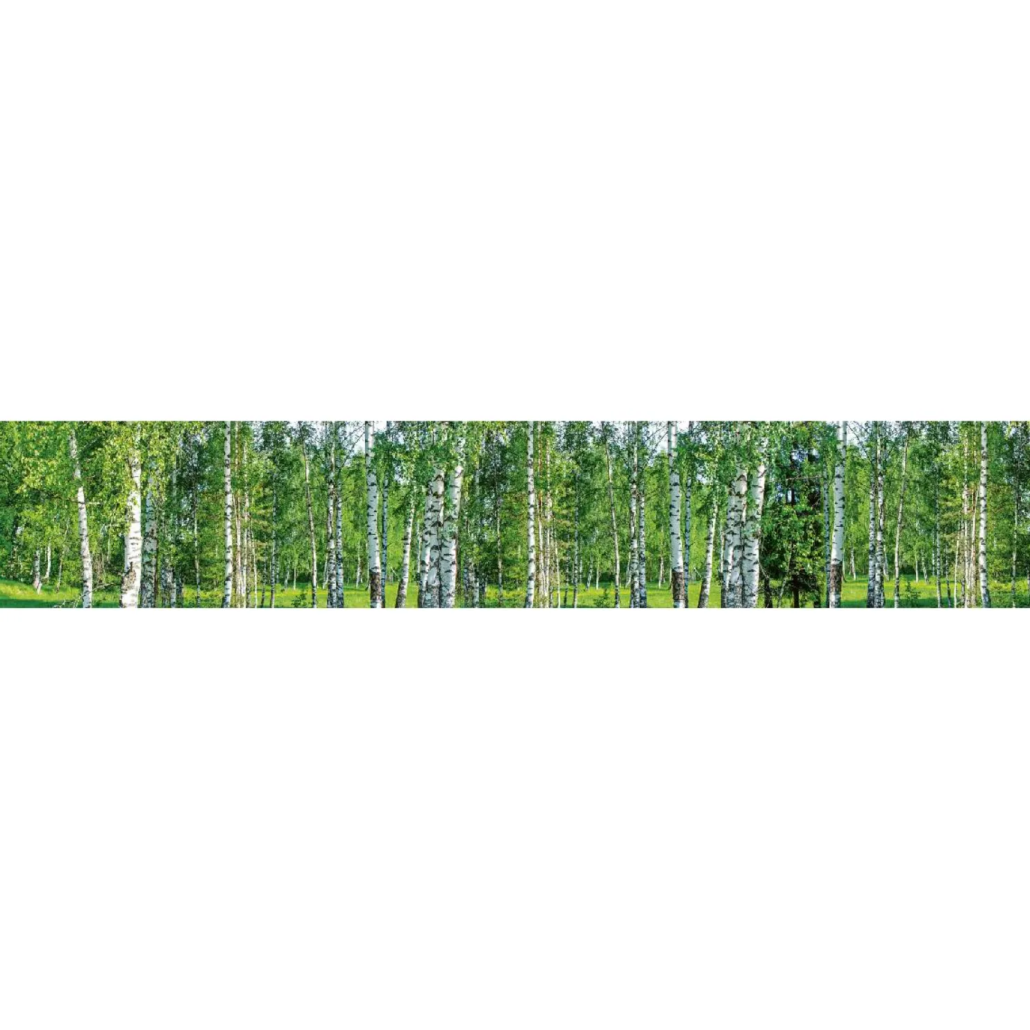 Välitilatarra Dimex Birch Grow 180-350x60cm