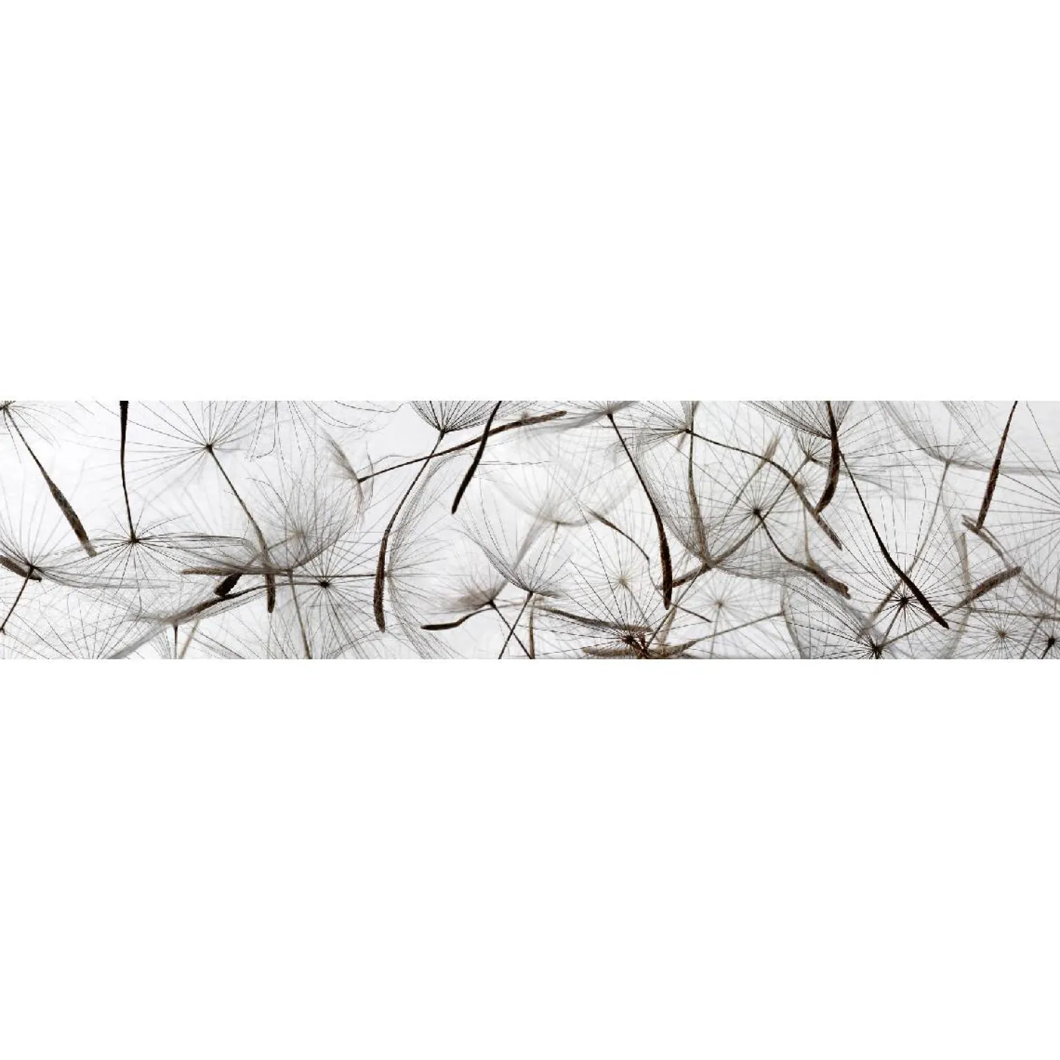 Välitilatarra Dimex Dandelion Seeds 180-350x60cm