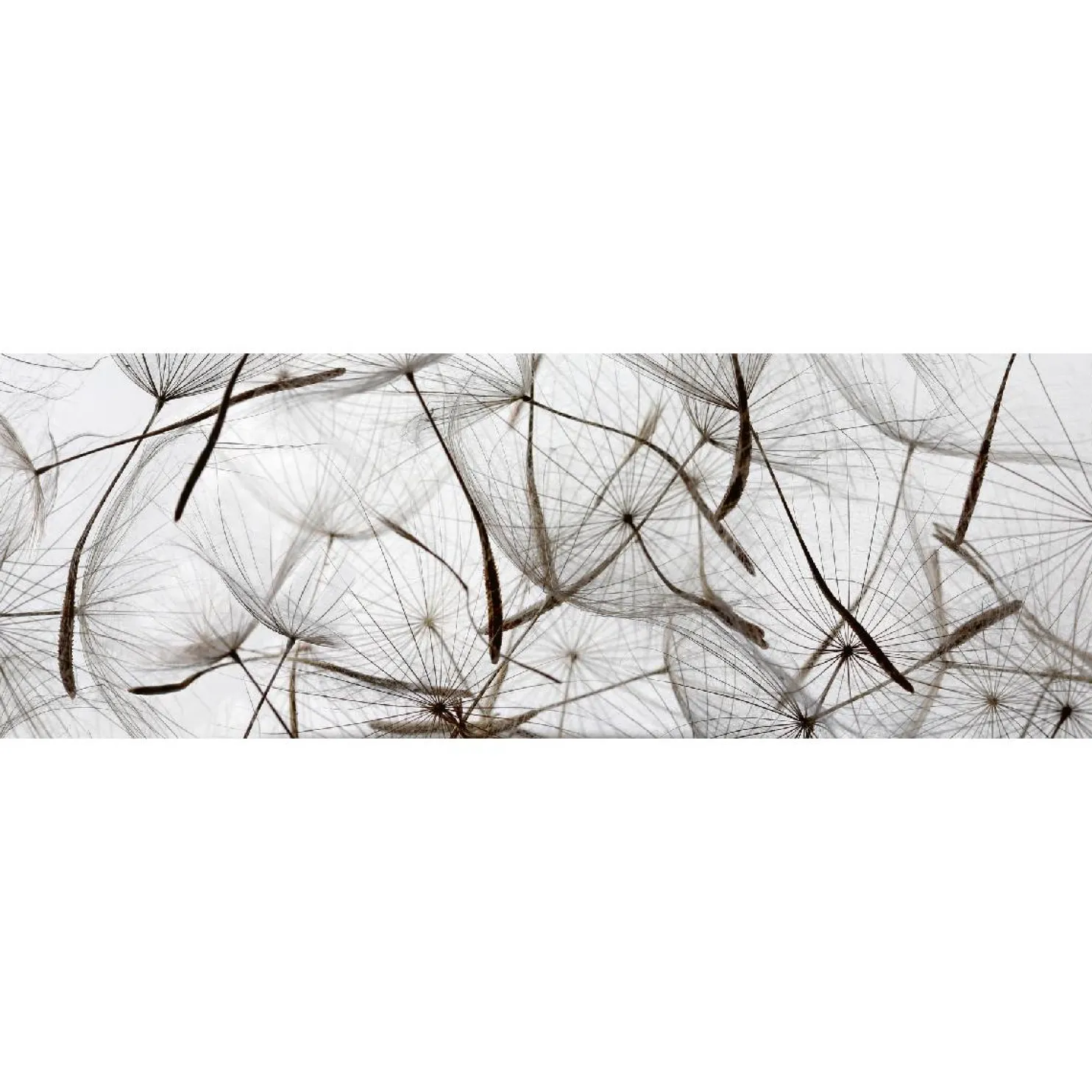 Välitilatarra Dimex Dandelion Seeds 180-350x60cm