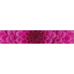 Välitilatarra Dimex Pink Dahlia 180-350x60cm