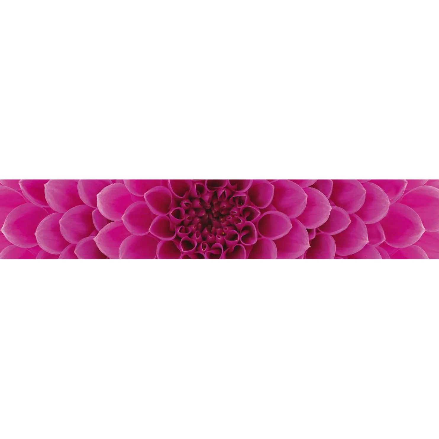 Välitilatarra Dimex Pink Dahlia 180-350x60cm