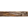 Välitilatarra Dimex Tree Bark 180-350x60cm