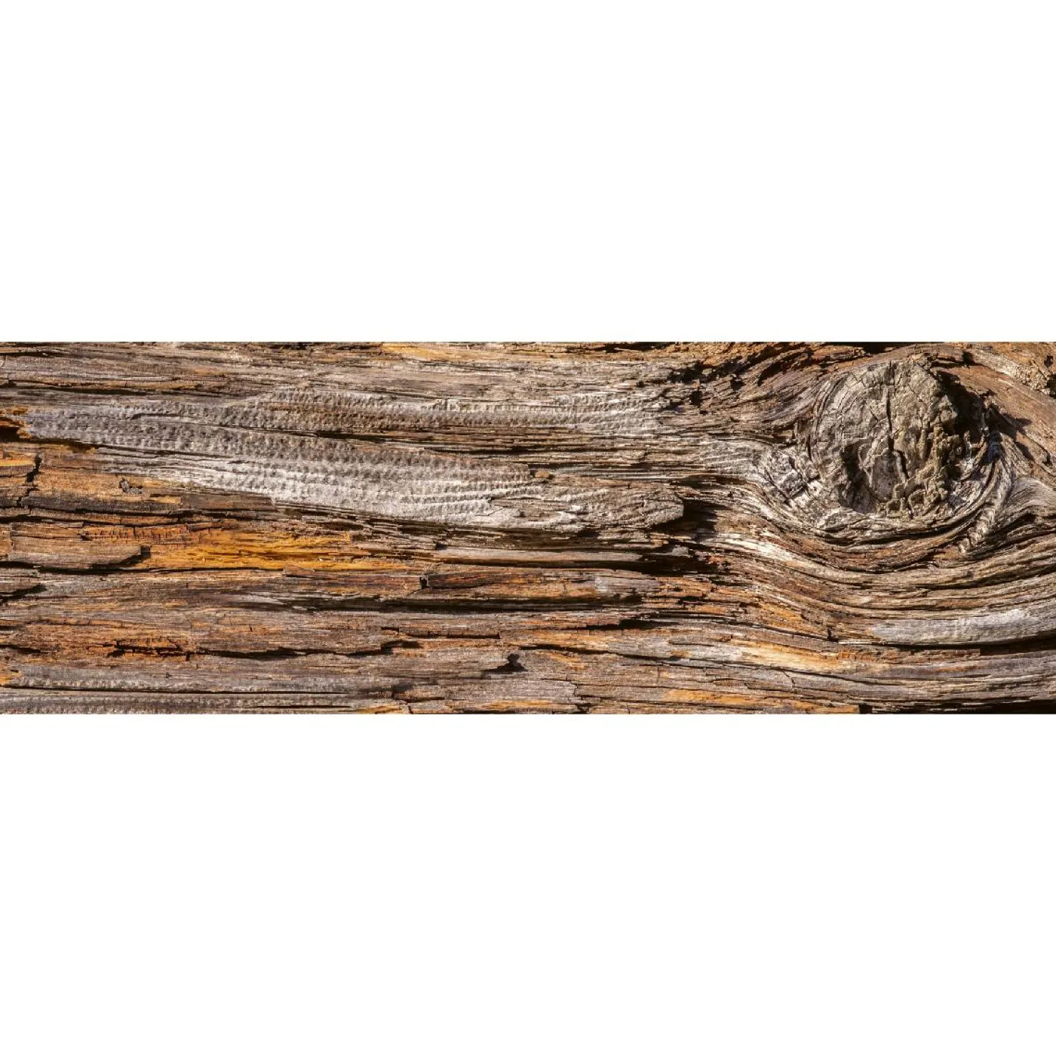 Välitilatarra Dimex Tree Bark 180-350x60cm