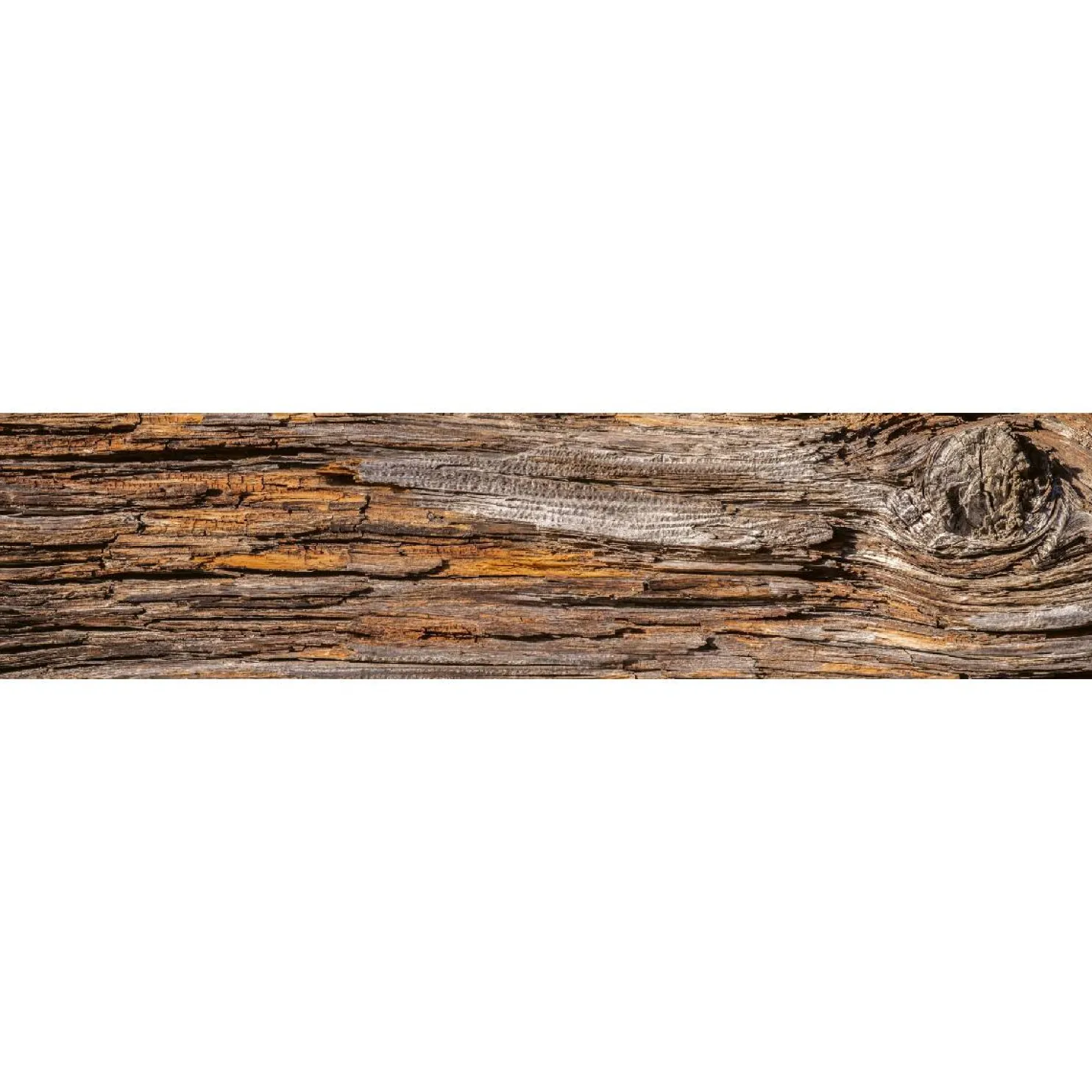 Välitilatarra Dimex Tree Bark 180-350x60cm
